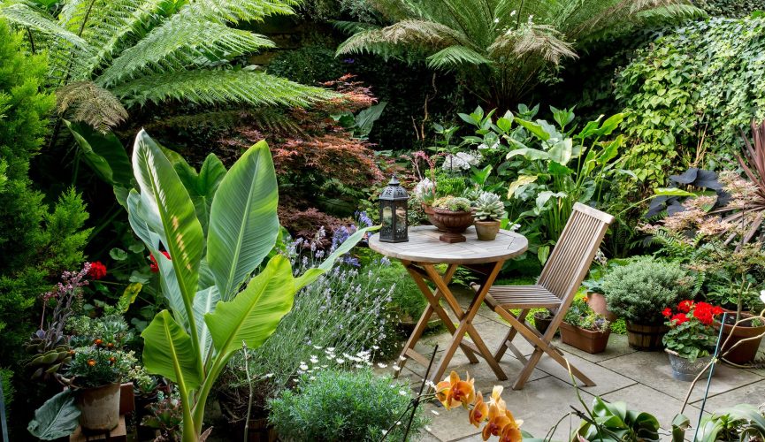 top-10-plants-for-amazing-garden-design